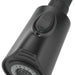 Delta Esque RP83819BL Spray & Hose Assembly - Pull-Down