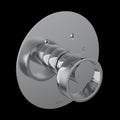 Polished Chrome (IWAPC)