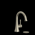 Brushed Nickel (BN)