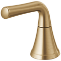 Champagne Bronze