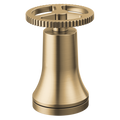 Champagne Bronze
