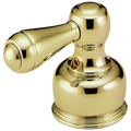 Polished Brass