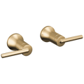 Champagne Bronze