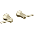 Polished Nickel