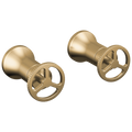 Champagne Bronze