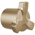Champagne Bronze