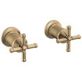 Lumicoat Champagne Bronze