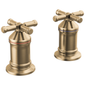 Lumicoat Champagne Bronze