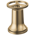 Champagne Bronze
