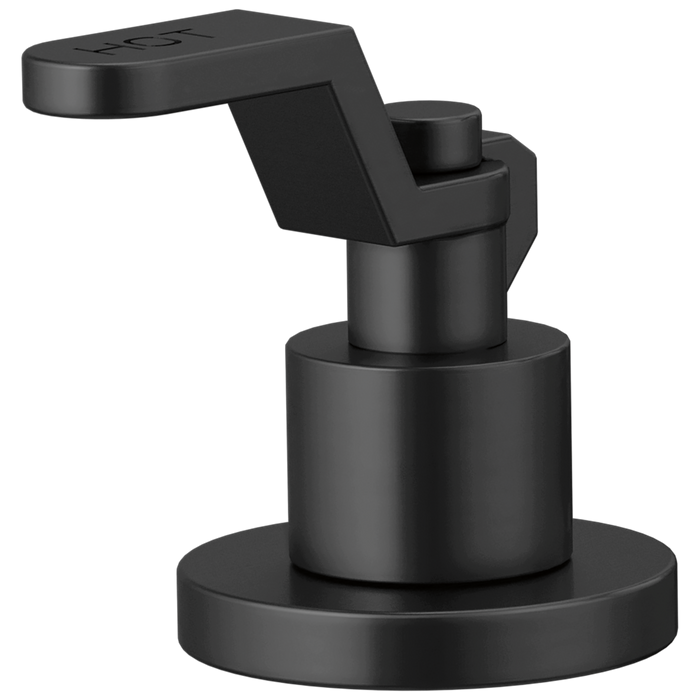 Widespread Handle Kit - Industrial Lever
