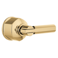 Polished Gold