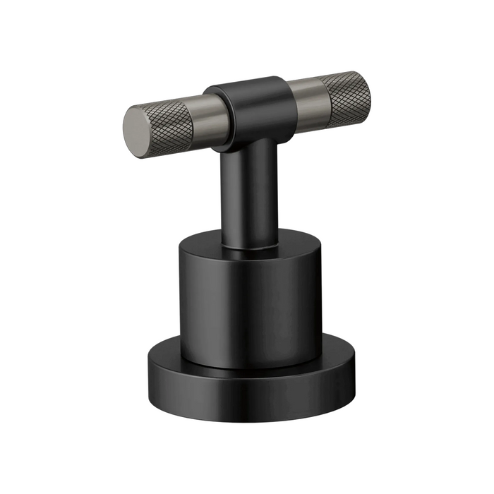 Roman Tub Handle Kit - T-Lever