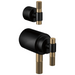 Tempassure Thermostatic Valve With Diverter Trim Handle Kit - T-Lever