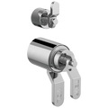 Chrome