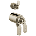 Polished Nickel
