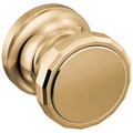 Polished Gold