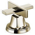 Polished Nickel