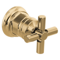 Polished Gold