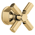 Polished Gold