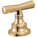Polished Gold