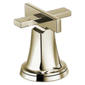 Polished Nickel
