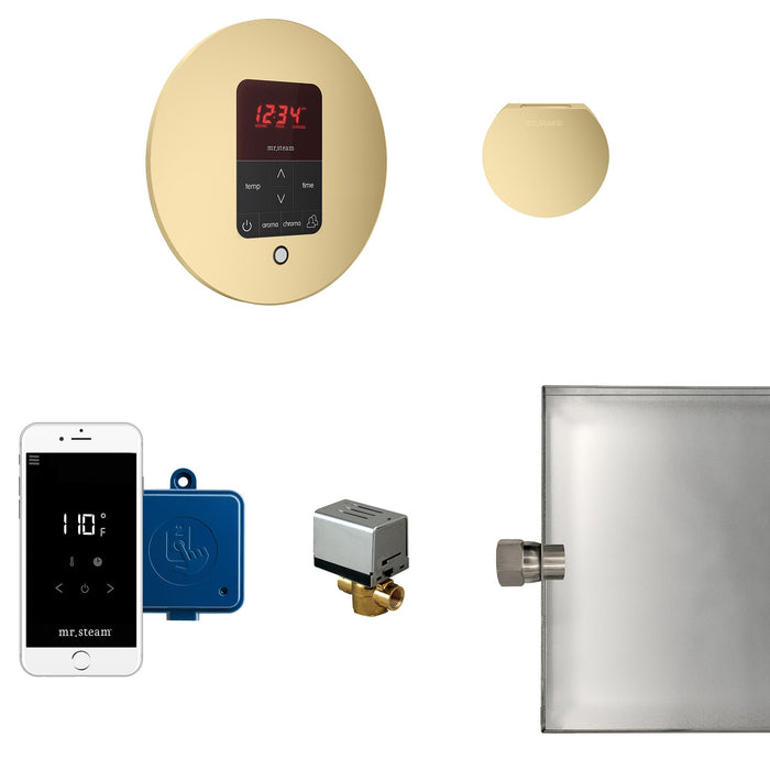 Mr. Steam MSBUTLER1RD-SB MS Butler® Round in Satin Brass