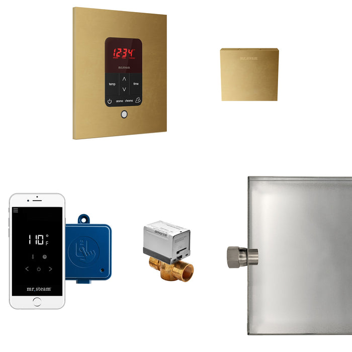 Mr. Steam MSBUTLER1SQ-RAW MS Butler® Square Unfinished Brass