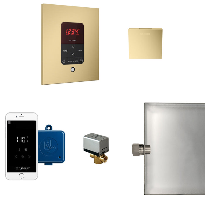 Mr. Steam MSBUTLER1SQ-SB MS Butler® Square in Satin Brass