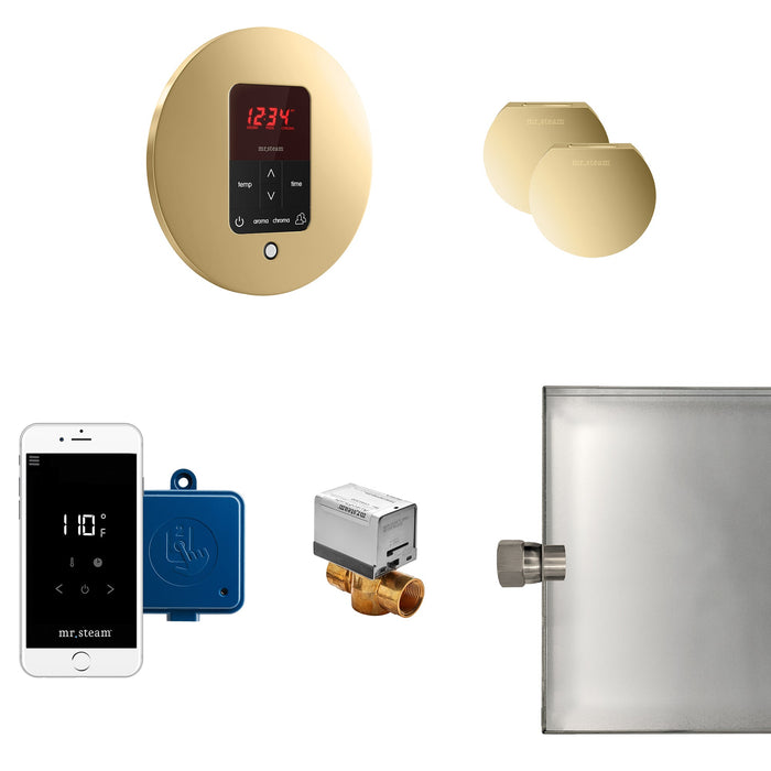 Mr. Steam MSBUTLERXRD-PB MS Butler® Max Round in Polished Brass