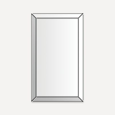 Robern D2M2441MF76 Murray Hill Mirror, 24" x 41" x 1-11/16"