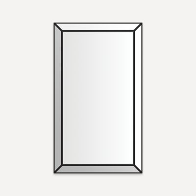 Robern D2M2441MF76 Murray Hill Mirror, 24" x 41" x 1-11/16"