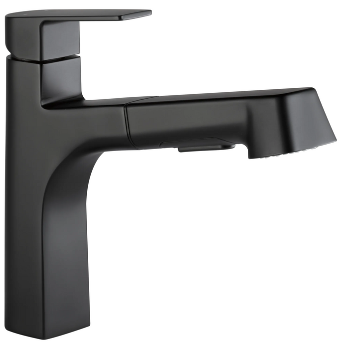 Single-Handle Pull-Out Kitchen Faucet