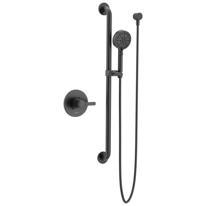 Peerless Precept PTT24347 ADA Valve Only with Hand Shower - Matte Black