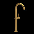Brushed Gold (BG)