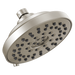 Peerless Westchester: Shower Head