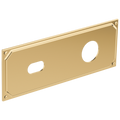 Polished Gold