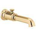 Polished Gold