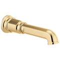 Polished Gold