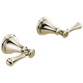 Polished Nickel