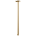 Luxe Gold