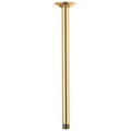 Polished Gold