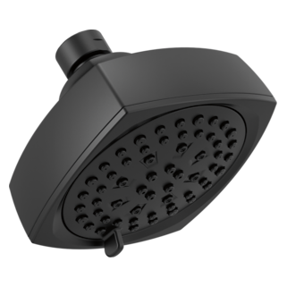 Peerless Parkwood: Shower Head