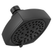 Peerless Parkwood: Shower Head