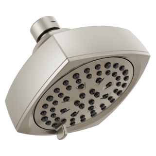 Peerless Parkwood: Shower head