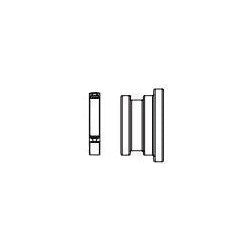 Brizo Invari RP101194SL FSTF Cap & Friction Ring