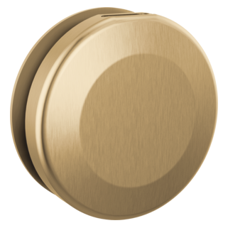 Delta Universal Showering Components: Round Steam Head