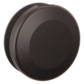 Delta Universal Showering Components: Round Steam Head