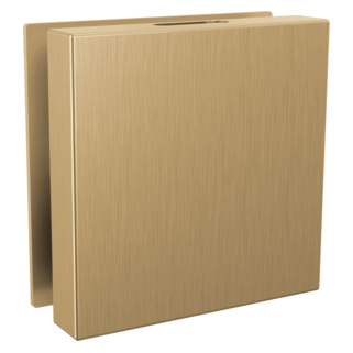 Delta Universal Showering Components: Contemporary Square Steam Head