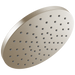 Single-Setting Raincan Shower Head