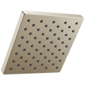 Spotshield Brushed Nickel